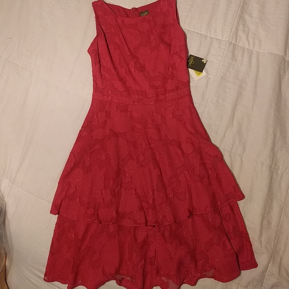 NWT Taylor fit and flare dress